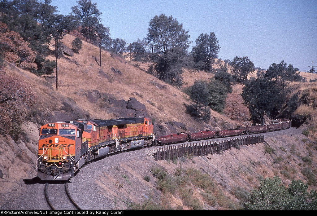 BNSF 7895 South